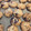 クック1HX7SZ☆'s cooksnap of when they made 砂糖不使用 デーツとメープル クッキー.