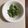 すぎすぎばぁ's cooksnap of when they made ＊お弁当に＊ツナといんげんのコンソメ和え.