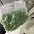 しゅんのいちごまま's cooksnap of when they made 【野菜の冷凍保存】水菜.