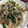 クック2H9MD0☆'s cooksnap of when they made 焼豚とニラ・もやしの簡単炒め♪.