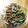 あんアキ's cooksnap of when they made 練りごま不要！水菜とささみの香味棒々鶏.