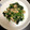 ____0027's cooksnap of when they made ほうれん草のツナ和え.
