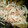 DAD☆HKR☆'s cooksnap of when they made ちくわとハムともやしのマヨ炒め.