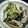 ranmao☆'s cooksnap of when they made ☆ガーリック豚キノコ☆.