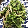 めいたんのママ's cooksnap of when they made シャキッと豆苗 にんにく炒め.