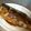 miwappy's cooksnap of when they made にしん：春告魚を煮魚で！.