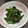 料理苦手はる's cooksnap of when they made 簡単 ほうれん草の和風ナムル.