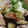 にのさんin大阪's cooksnap of when they made なすと鶏のささ身☆炒めもの.