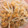 ちびっこGANG's cooksnap of when they made もやし＆たまご炒め【超簡単もう1品！】.