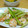 はなっぺ。's cooksnap of when they made 海老とアスパラの塩炒め★.