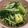 まなちぇ's cooksnap of when they made 濃厚！ブロッコリーと水菜の胡麻和え.