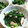 ウニのお母さん's cooksnap of when they made ホウレン草と椎茸の生姜じょうゆ和え.
