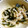 たなぴー's cooksnap of when they made ワカメが旬♪えのきとワカメの炒めもの.