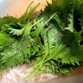 はちみつ1221's cooksnap of when they made *しその保存法*.