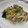 ライフハックルブログ's cooksnap of when they made 豚肉と白菜 蓮根のオリーブオイル炒め❀.
