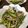 クックRARDAU☆'s cooksnap of when they made アスパラガスとしめじ炒め♪.