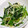 BOSS・SUB's cooksnap of when they made ほうれん草と長ねぎのナムル風.