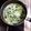 クック旅好！！'s cooksnap of when they made 冬にぴったり☆ほうれん草のミルクスープ.