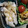 ほのけんmama's cooksnap of when they made 簡単♪お弁当にも しょうが焼き風炒め.