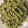 クック1HX7SZ☆'s cooksnap of when they made バジルとフープロで簡単本格ジェノベーゼ♪.