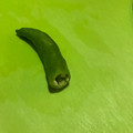 みゅうみゅうきなこ☆'s cooksnap of when they made ししとうの簡単な種の取り方。ヘタ無し手軽.