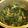 jishtk1031's cooksnap of when they made 小松菜の煮浸し.