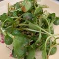 ゆりはるみ♡'s cooksnap of when they made つまみ菜の白ゴマ味噌ドレサラダ.