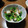 ramieru's cooksnap of when they made 新玉ねぎとのらぼう菜の納豆和え.