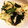 たまころ15's cooksnap of when they made きくらげとキャベツのオイスターソース炒め.
