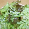 max4995's cooksnap of when they made 水菜とサニーレタスのサラダ.
