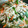 やっぱ芋焼酎でしょ♪'s cooksnap of when they made ごはんがすすむ♪もやしとにらの炒め物.