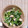 ミィちゃん♡'s cooksnap of when they made ほうれん草のツナマヨ和え♡.