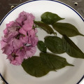 なりのり１３'s cooksnap of when they made 桜の塩漬け.
