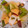 クックS5N2AF☆'s cooksnap of when they made リクエストNO.１さつま芋のおかず.