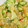 max4995's cooksnap of when they made 夏の定番！きゅうりの中華クラゲ和え.