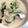 gumi411's cooksnap of when they made 豆乳or牛乳の簡単カブとベーコンのスープ.