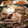 37⭐'s cooksnap of when they made 牛肉と白菜のさっと煮.