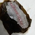 クックH86AFM☆'s cooksnap of when they made 簡単なのに高級料理店の味！鯛の昆布締め.