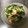 クックZ2TYKB☆'s cooksnap of when they made レタスの卵炒め.