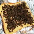 ねぞろ's cooksnap of when they made 紅茶の香りも！きなこセサミのトースト★゛.