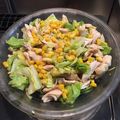 さんじのちち's cooksnap of when they made 鶏ささみと春キャベツの胡麻和えサラダ.