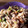 まめちゃん710's cooksnap of when they made カレーマヨの焼きうどん.