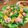 Hponopono＊'s cooksnap of when they made お祝いに花を添える 鉢植えサラダ.