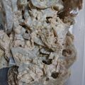 yuriレシピ's cooksnap of when they made シャキシャキ美味しい蓮根とツナのサラダ♪.
