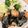 クックFVAFKM☆'s cooksnap of when they made 家にある物で節約おかず！ムネ肉の磯辺揚げ.