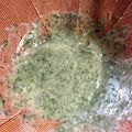 ゆりゆうきまま's cooksnap of when they made 香り豊か～♪木の芽味噌　どすぇ.