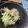えみんちゅ＊'s cooksnap of when they made ☆お手軽☆　　　　胡瓜とたくあんの和え物.