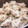 ミニオンまん's cooksnap of when they made 簡単☆蓮根焼売.