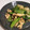 あきひめりんご's cooksnap of when they made 貧血解消！豚肉と小松菜の胡麻和え.
