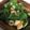 クックYF8ALF☆'s cooksnap of when they made 夏の一品＠生姜香るオクラと竹輪の胡麻和え.